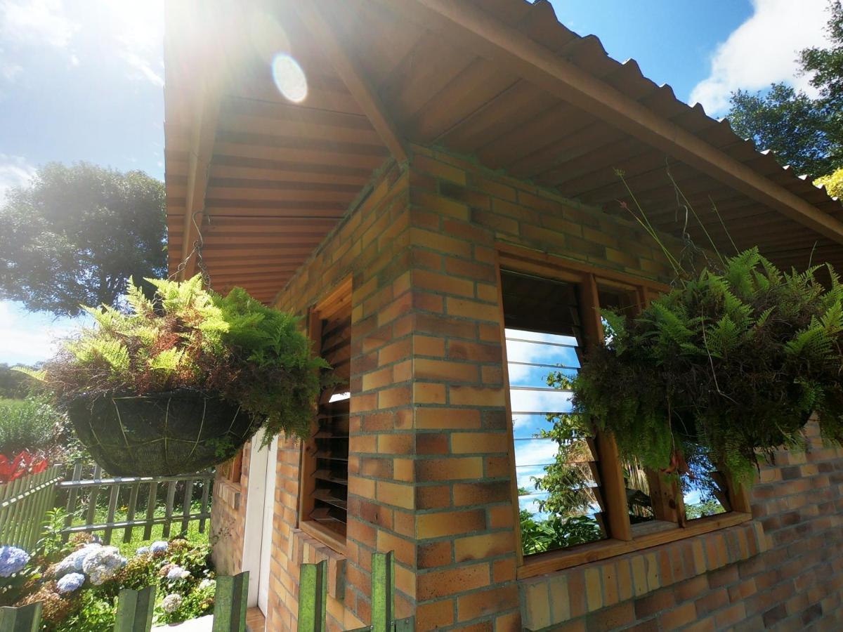 Tribu Ecohostal Los Santos  Exterior foto